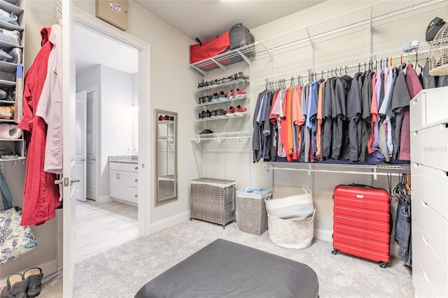 2931 Bella Flore Ter, New Smyrna Beach, FL 32168 - walk in closet featuring carpet floors