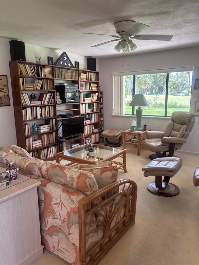 31 Lake Fairgreen Cir, New Smyrna Beach, FL 32168 - photo 9