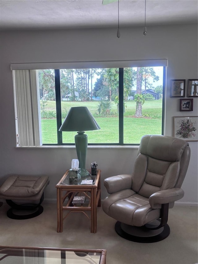 31 Lake Fairgreen Cir, New Smyrna Beach, FL 32168 - photo 39