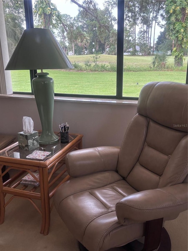31 Lake Fairgreen Cir, New Smyrna Beach, FL 32168 - photo 40