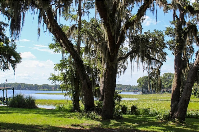 407 Hunting Lodge Dr, Inverness, FL 34453 - photo 16