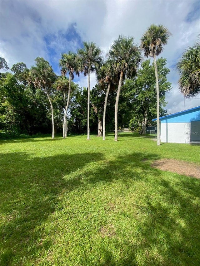 302 Adele St, Edgewater, FL 32132 - photo 3