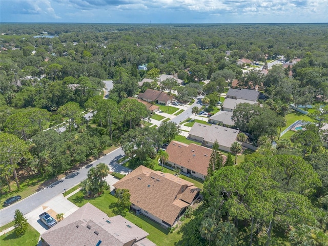 6119 Sequoia Dr, Port Orange, FL 32127 - photo 44