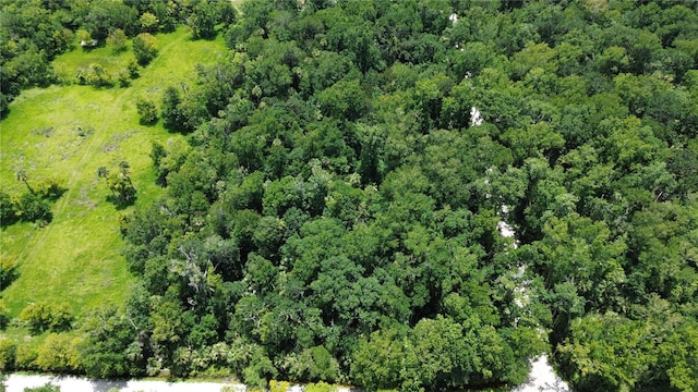 Volco Rd, Edgewater, FL 32141 - photo 2
