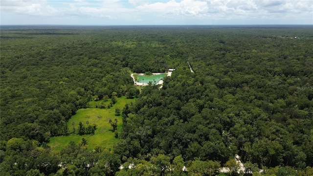 Volco Rd, Edgewater, FL 32141 - photo 4