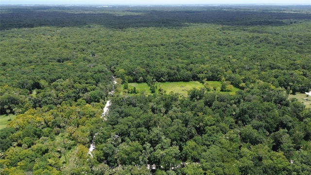 Volco Rd, Edgewater, FL 32141 - photo 5