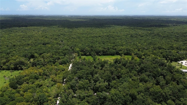 Volco Rd, Edgewater, FL 32141 - photo 6