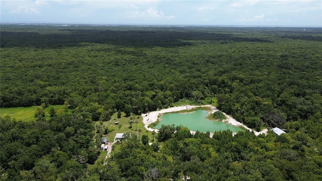 Volco Rd, Edgewater, FL 32141 - photo 7