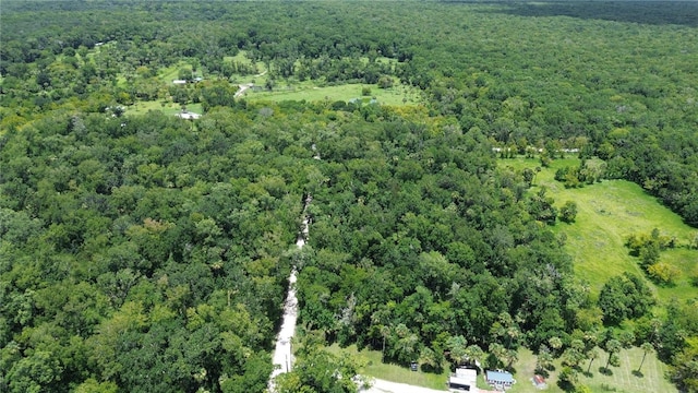 Volco Rd, Edgewater, FL 32141 - photo 8