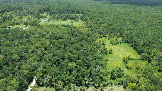 Volco Rd, Edgewater, FL 32141 - photo 9