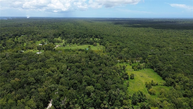 Volco Rd, Edgewater, FL 32141 - photo 10