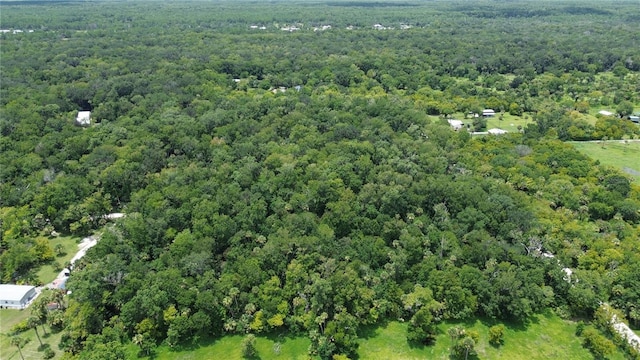 Volco Rd, Edgewater, FL 32141 - photo 12