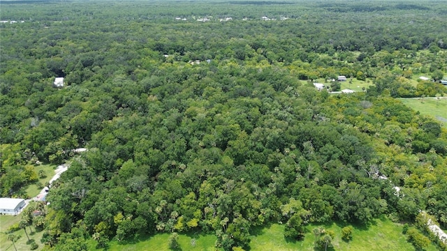 Volco Rd, Edgewater, FL 32141 - photo 13