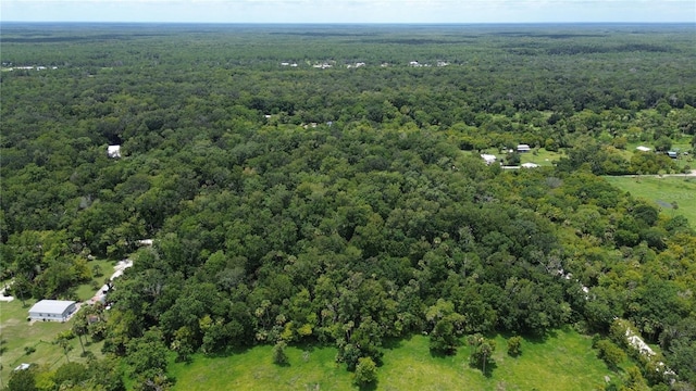 Volco Rd, Edgewater, FL 32141 - photo 14