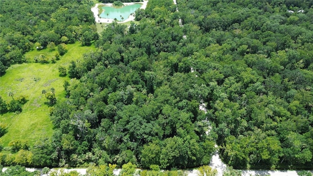 Volco Rd, Edgewater, FL 32141 - photo 15