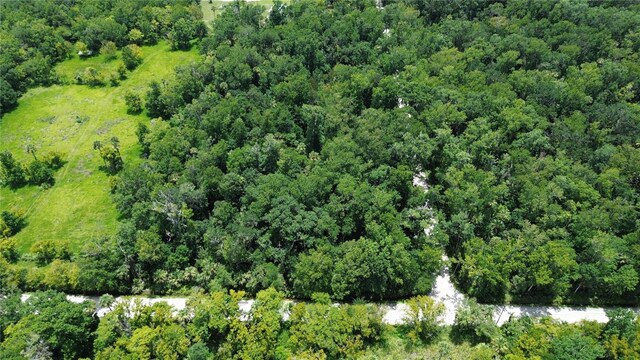 Volco Rd, Edgewater, FL 32141 - photo 16
