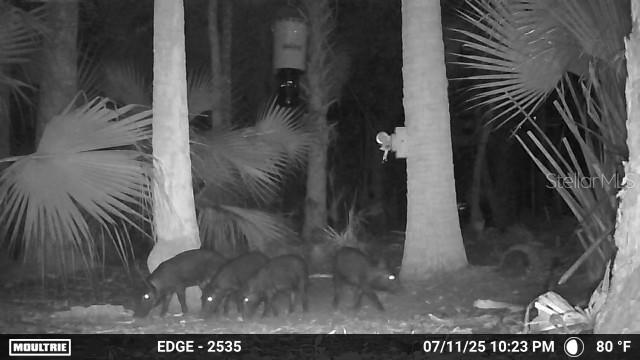 Volco Rd, Edgewater, FL 32141 - photo 17