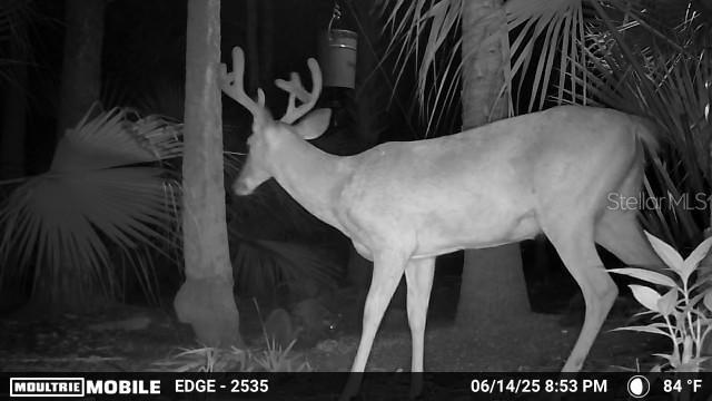 Volco Rd, Edgewater, FL 32141 - photo 18
