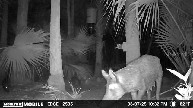 Volco Rd, Edgewater, FL 32141 - photo 19