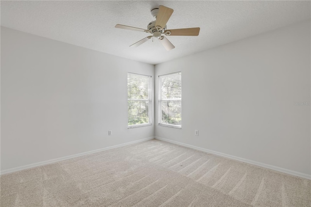 3202 Stonebridge Trl, Valrico, FL 33596 - photo 40