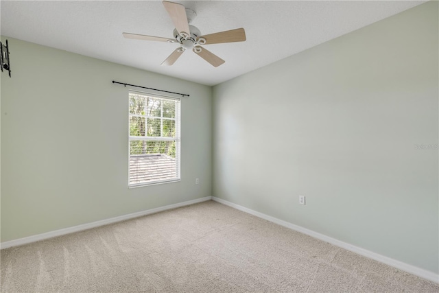 3202 Stonebridge Trl, Valrico, FL 33596 - photo 44