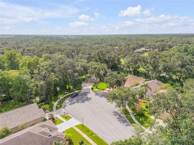 3202 Stonebridge Trl, Valrico, FL 33596 - photo 63