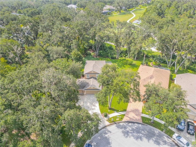 3202 Stonebridge Trl, Valrico, FL 33596 - photo 64