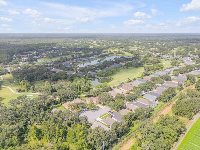 3202 Stonebridge Trl, Valrico, FL 33596 - photo 70