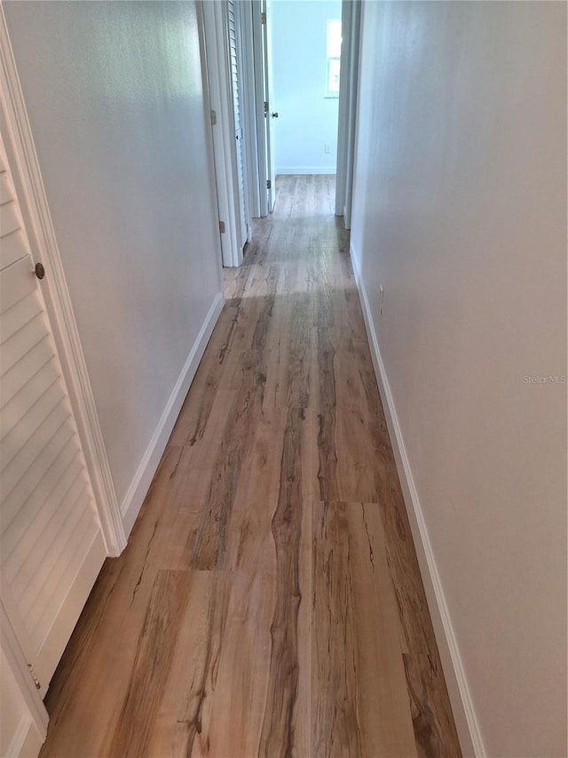 432 Palmetto St, Edgewater, FL 32132 - photo 21