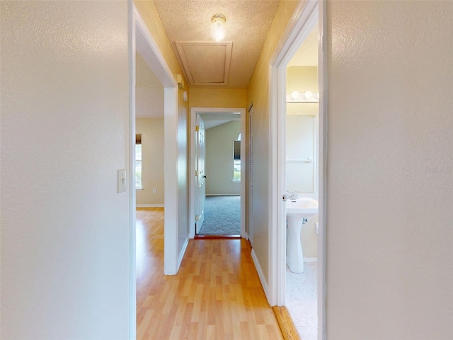 1377 7th Ave, Deland, FL 32724 - photo 21