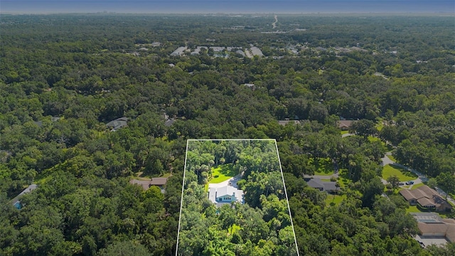 550 S Timberlane Dr, New Smyrna Beach, FL 32168 - photo 49