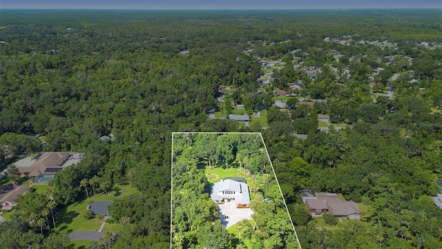 550 S Timberlane Dr, New Smyrna Beach, FL 32168 - photo 50