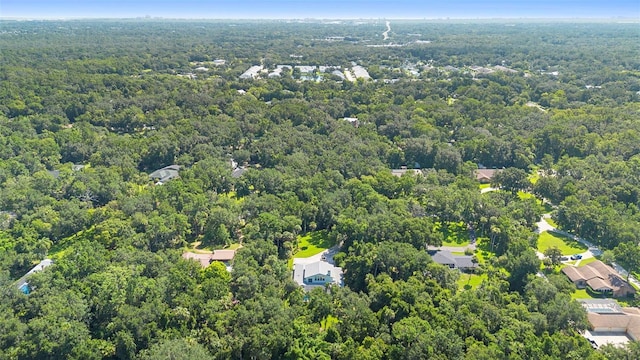 550 S Timberlane Dr, New Smyrna Beach, FL 32168 - photo 51