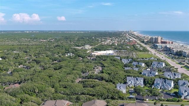 4287 Sea Mist Dr, New Smyrna Beach, FL 32169 - photo 35
