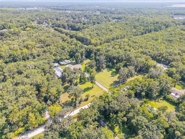 3080 Ragis Rd, Edgewater, FL 32132 - photo 85