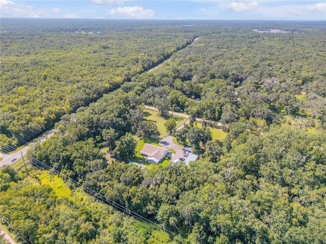 3080 Ragis Rd, Edgewater, FL 32132 - photo 87