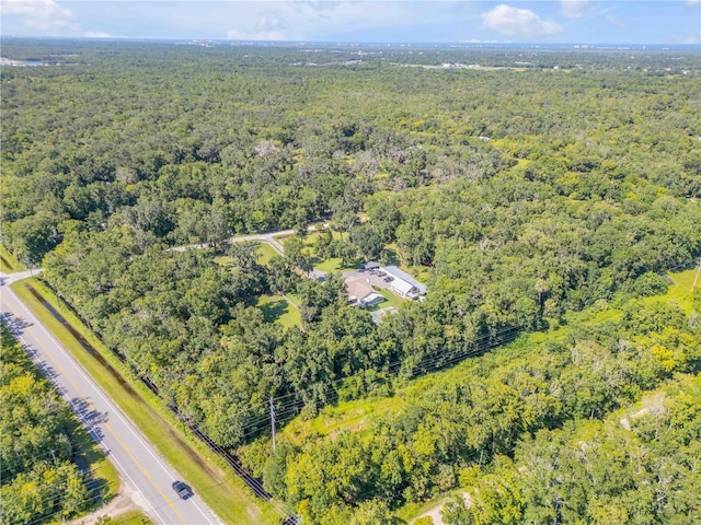 3080 Ragis Rd, Edgewater, FL 32132 - photo 89