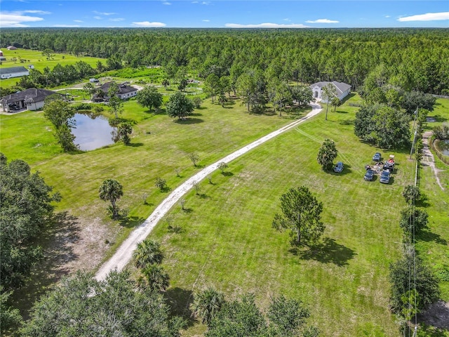 389 Equestrians Way, New Smyrna Beach, FL 32168 - photo 3