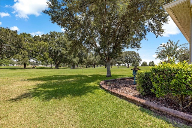 9365 SW 94th Loop, Ocala, FL 34481 - photo 37