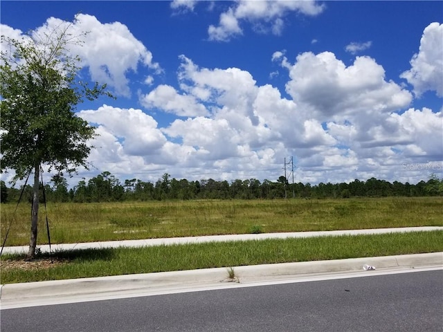 Apopka Vineland Rd, Orlando FL, 32821 land for sale