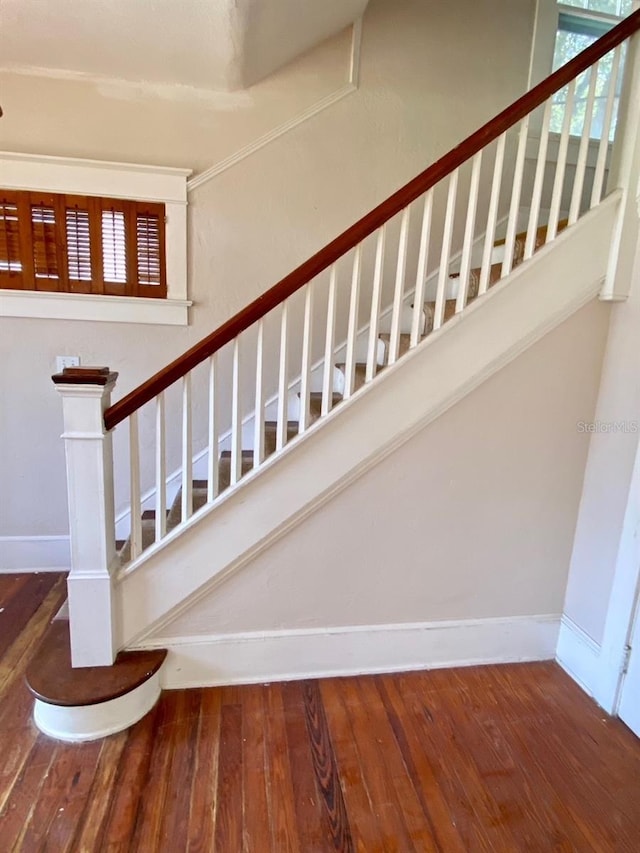 staircase featuring dark wood-type flooring