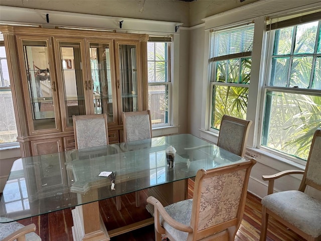 dining area featuring dark wood-type flooring