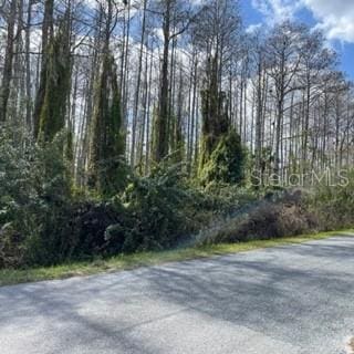 Richmond Rd, Saint Cloud FL, 34773 land for sale