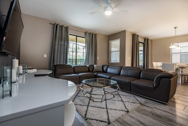 living room featuring ceiling fan and light wood-type flooring