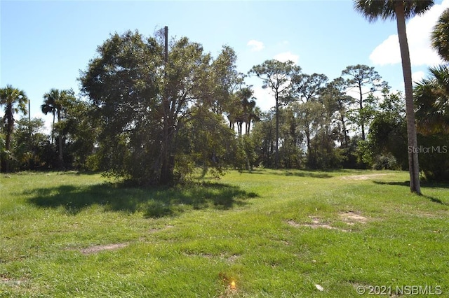 206 S Ridgewood Ave, Edgewater FL, 32132 land for sale