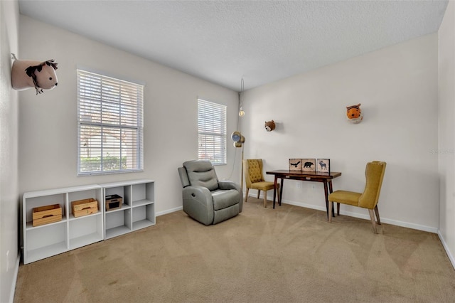 living area featuring light colored carpet and a textured ceiling