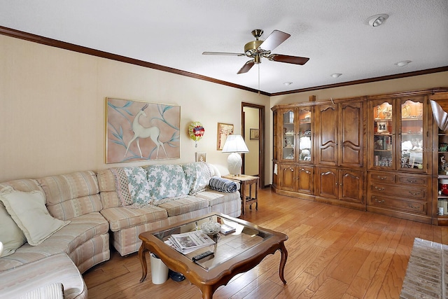10290 Buck Rd, Orlando, FL 32817 - photo 11