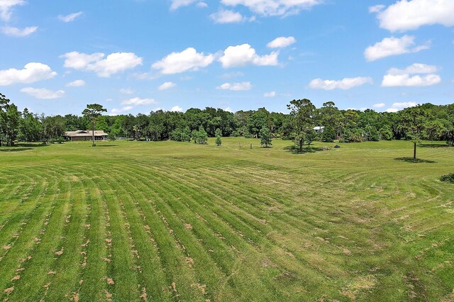 10290 Buck Rd, Orlando, FL 32817 - photo 22