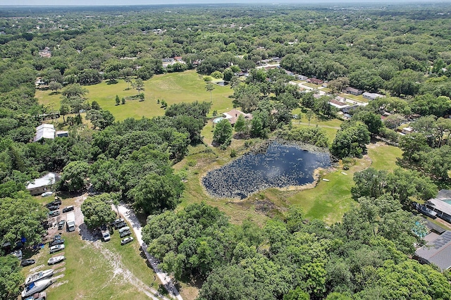 10290 Buck Rd, Orlando, FL 32817 - photo 23
