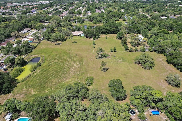 10290 Buck Rd, Orlando, FL 32817 - photo 25